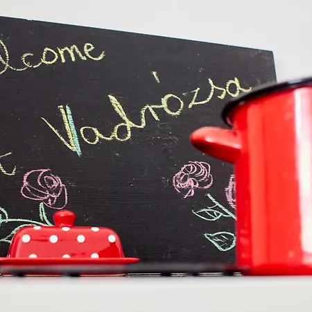 Gospodarstwo wiejskie Vadrozsa Vendeghaz *