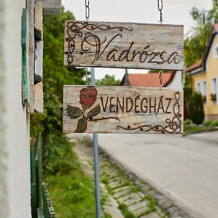 Vadrozsa Vendeghaz