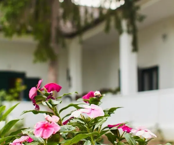 Vadrozsa Vendeghaz Kır Evi Rácalmás