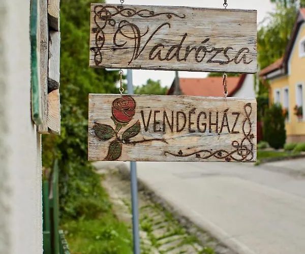 Vadrozsa Vendeghaz